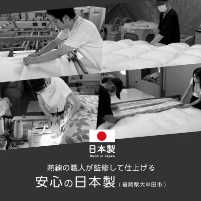 大牟田市生産 合繊掛け布団 シングルロング 中綿1.2kg 150×210cm ブラウン