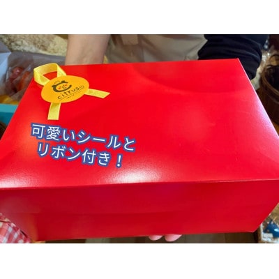 福岡県大牟田市製造の焼きドーナツ10個入り