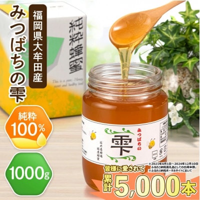 坂井養蜂場　みつばちの雫　1000g