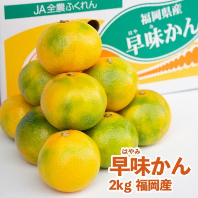 福岡オリジナルブランド　蜜柑 早味かん　2kg(大牟田市)【配送不可地域：離島】