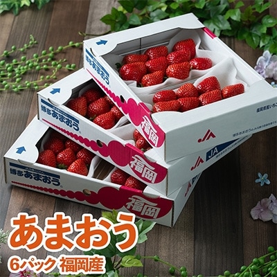 【11月下旬より順次発送】酸味と甘みの絶妙なバランス・冬あまおう6パック(大牟田市)【配送不可地域：離島・北海道・沖縄県】