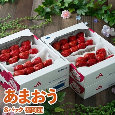 【11月下旬より順次発送】酸味と甘みの絶妙なバランス・冬あまおう8パック(大牟田市)【配送不可地域：離島・北海道・沖縄県】