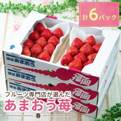 【2026年発送先行受付】酸味と甘みの絶妙なバランス・春あまおう6パック(大牟田市)【配送不可地域：離島・北海道・沖縄県】