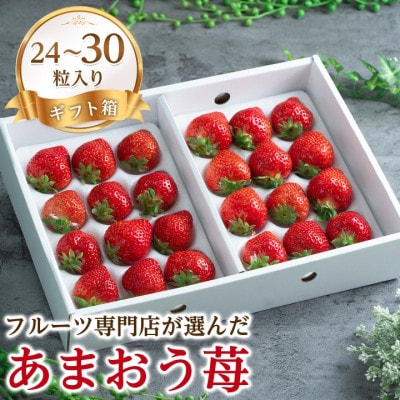 【11月下旬より順次発送】苺本来の酸味と甘み!贈答用あまおう 24-30粒(大牟田市)【配送不可地域：離島・北海道・沖縄県】