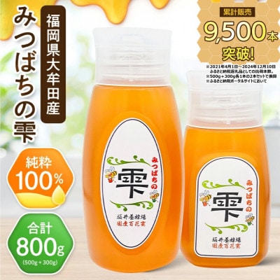 坂井養蜂場　みつばちの雫　500g+300g(合計800g)国産蜂蜜