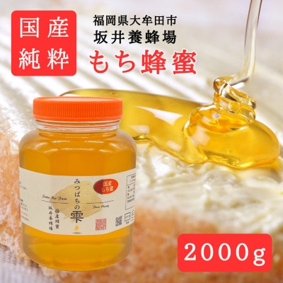 みつばちの雫　国産もち蜂蜜　2000g