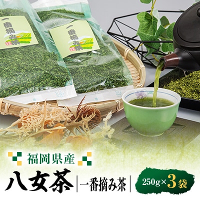 八女茶一番摘み茶 250g×3