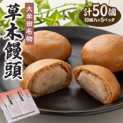 大牟田名物　江口栄商店　草木饅頭　50個入