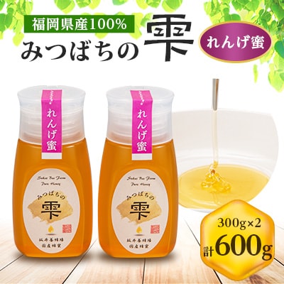 【5月～6月発送】みつばちの雫　国産れんげ蜜　300g×2