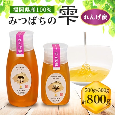 【5月～6月発送】みつばちの雫　国産れんげ蜜　500g+300g