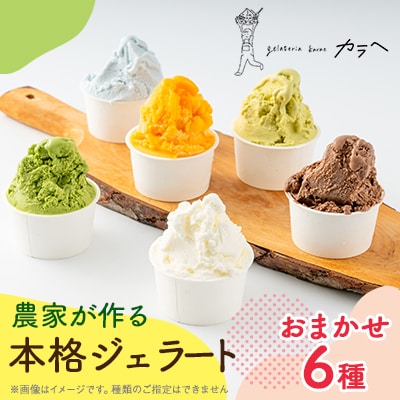 福岡県産 農家が作る本格ジェラート　　6種類おまかせセレクション【配送不可地域：離島】