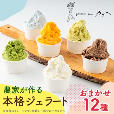 福岡県産 農家が作る本格ジェラート　　12種類おまかせセレクション【配送不可地域：離島】