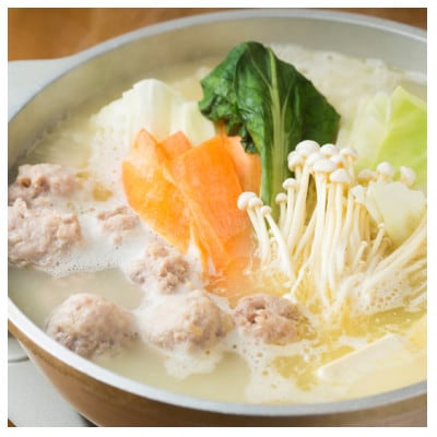 水炊き4人前セット(大牟田市)【配送不可地域：離島】