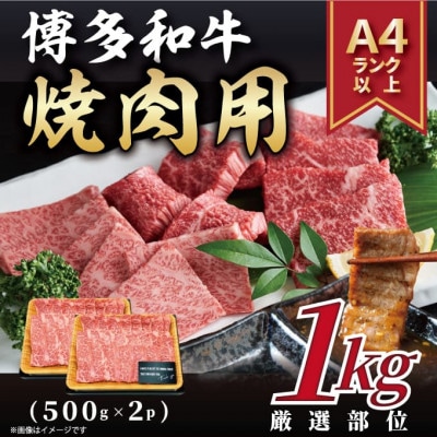 【A4～A5】博多和牛焼肉用　1kg(500g×2p)(大牟田市)【配送不可地域：離島】