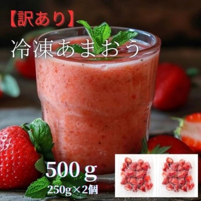 福岡県産 冷凍あまおう 500g(250g×2個)(大牟田市)【配送不可地域：離島】