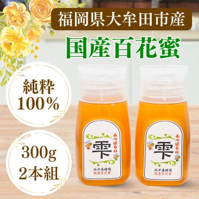 みつばちの雫　300g×2個セット　国産蜂蜜