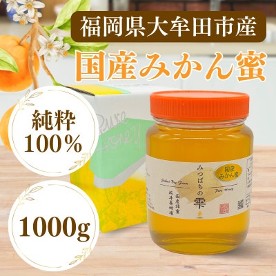 みつばちの雫　国産みかん蜂蜜　1000g