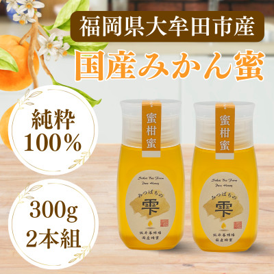 みつばちの雫　国産みかん蜂蜜　300g×2
