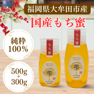 みつばちの雫　国産もち蜂蜜　500g+300g