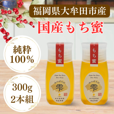 みつばちの雫　国産もち蜂蜜　300g×2　