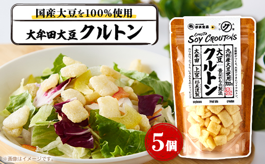 大牟田大豆クルトン25g×5個
