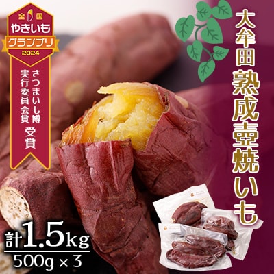 大牟田熟成壺焼いもセット【配送不可地域：離島】