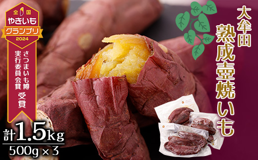 大牟田熟成壺焼いもセット【配送不可地域：離島】