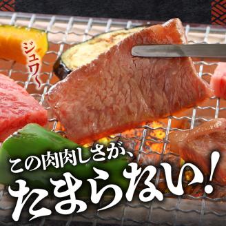 博多和牛 ロース焼肉550g_博多和牛 ロース 焼肉 550g リブロース サーロイン カタロース 赤身 サシ バランス キメ細やか ジューシー バーベキュー おうち焼肉 国産 ブランド牛 九州産 新鮮 切りたて 冷凍 牛肉 肉 牛 国産牛 お取り寄せ お取り寄せグルメ 福岡県 久留米市 送料無料_Ab012