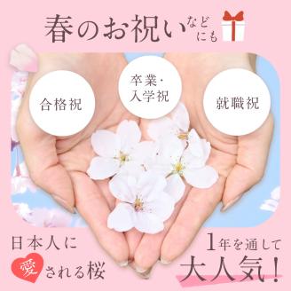 桜のボトルフラワー（久留米絣敷物付き）_ドライフラワー 桜 ボトルフラワー ソメイヨシノ 満開の桜のようにデザイン 久留米絣 敷物 ガラス容器 おしゃれ 花 インテリア 生花 ドライ加工 入学祝 卒業祝 合格祝 就職祝 旅立ち お祝い 記念 ギフト 贈り物 送料無料_Qb018