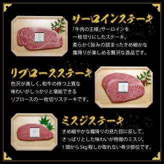 大昌園 九州産 黒毛和牛・ステーキ食べ比べセット タレ付き サーロイン リブロース ミスジ 秘伝・焼肉のたれ付_大昌園 九州産 黒毛和牛 ステーキ 食べ比べ セット タレ付き サーロイン 160g リブロース 150g ミスジ 100g お肉 合計 410g 秘伝 焼肉のたれ 100ml 国産 牛肉 肉 冷凍 お取り寄せ お取り寄せグルメ 福岡県 久留米市 送料無料_Ab101