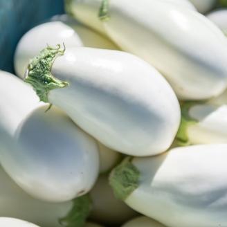 宝石野菜 白なす_宝石野菜 白なす 9個 果肉 柔らかい アクが少ない トロトロ 舌触り 野菜 揚げ焼き バター焼き 田楽 煮浸し 揚げ浸し 浅漬け 味噌汁 天ぷら 炒め物 常温配送 国産 ナス 夏野菜 お取り寄せ 福岡県 久留米市 送料無料_Gv018