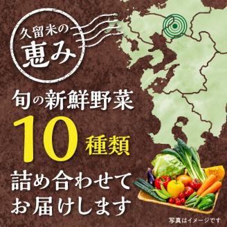 福岡県久留米市産 新鮮野菜セット_福岡県 久留米市産 新鮮野菜 セット 10品目 約10kg 旬の野菜 詰め合わせ 新鮮 季節 野菜 水菜 小松菜 ほうれん草 アスパラ キャベツ オクラ レイシ トマト 胡瓜 ニラ 玉葱 インゲン 茄子 春菊 ブロッコリー 大根 旬 料理 久留米市 冷蔵 お取り寄せ 送料無料_Gv025
