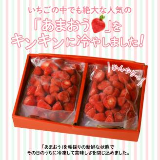 【2026年2月以降お届け】うるう農園の冷凍あまおう2kg_あまおう 2kg 冷凍 甘い 濃厚 新鮮 いちごの王様 うるう農園 いちご 果物 アレンジ おやつ フルーツ スイーツ スムージー ジャム アイス けずり苺 お取り寄せ お取り寄せグルメ 福岡県 久留米市 送料無料_Fi204