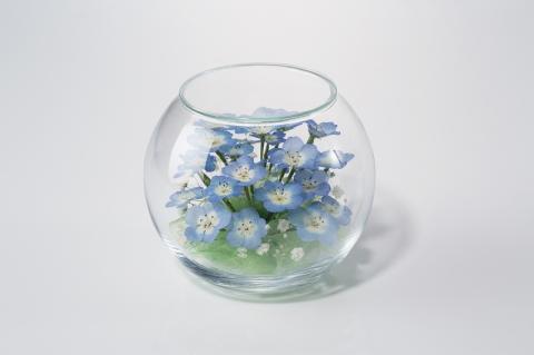 ネモフイラとカスミ草のボトルフラワー_ボトルフラワー ネモフィラ カスミ草 奥行120×高さ100 ドライフラワー ガラス容器 インテリア 雑貨 観賞用 花 フラワー アレンジメント ギフト 贈り物 プレゼント 福岡県 久留米市 お取り寄せ 送料無料_Qb008