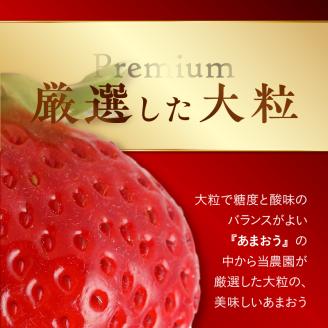 池田農園の完熟あまおうプレミアムギフト_Fi045