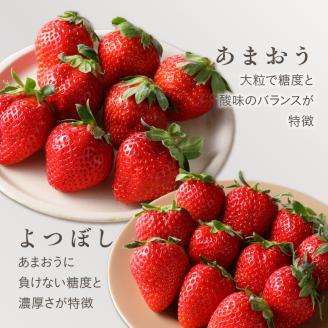 池田農園の完熟あまおう＆完熟よつぼし食べ比べセット_Fi046