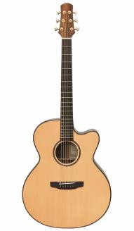 アストリアス アコースティックギター GRAND SOLO SR（ケース付）_アコースティックギター アストリアス GRAND SOLO SR ケース 付き 楽器 音響機器 オリジナルデザイン 新品 アコギ ギター 厚みのある低音 伸びのある高音 弦楽器 音楽 演奏 常温 大人 子供 福岡県 久留米市 送料無料_Qx039