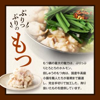 田しゅうもつ鍋セット醤油味2～3人前_もつ鍋 セット  醤油味 田しゅう 味噌 醤油 ちゃんぽん麺 めん 出汁 牛もつ 博多 郷土料理 国産牛  牛もつ鍋 博多もつ鍋 福岡県 久留米市 お取り寄せ お取り寄せグルメ 送料無料_Cn111