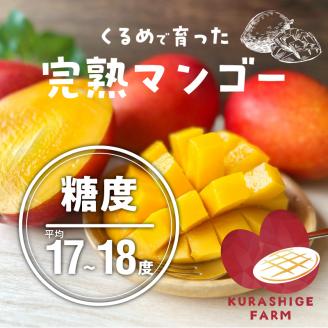 【2026年6月以降お届け】【家庭用】くるめで育った完熟マンゴー（8～12個：約3.2～3.6kg）_家庭用 トロ～ッと口のなかでとろける くるめで育った 完熟マンゴー 8個 ～ 12個 甘い 子供も安心 フルーツ トロピカルフルーツ 果物 マンゴー 完熟 国産 ビタミンA 冷蔵 アップルマンゴー お取り寄せ 福岡県 久留米市 送料無料_Fm009