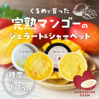 【2026年7月以降お届け】完熟マンゴーのジェラート＆シャーベット130ml×6個入り_先行予約 完熟 マンゴー ジェラート シャーベット セット 130ml × 6個 各3個 高糖度 果肉 使用 地植栽培 アイス デザート ご褒美 冷凍 トロピカルフルーツ 果物 国産 倉重農園 グルメ お取り寄せ お取り寄せグルメ 福岡県 久留米市 送料無料_Dw012 6個入り