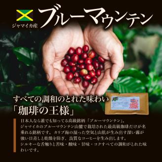 ブルーマウンテン100g＆ハワイコナコーヒー100g 定期便3ヶ月コース 豆コース_定期便 3ヶ月 コーヒー 豆 各 100g 2種 3回 計 600g ブルーマウンテン ハワイコナコーヒー 珈琲の王様 シルキーな舌触り 苦味 酸味 甘味 コク 調和がとれた味わい スッキリ 雑味の少ない フルーツ酸 特徴 酸味の女王 お取り寄せ 送料無料_Ec109-B