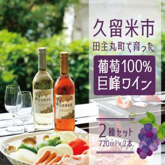 【バリはやッ！ZIPにて紹介されました】久留米市田主丸町で育った葡萄100％ 巨峰ワイン2種セット（720ml×2本）_巨峰ワイン2本セット 2種 1本 720ml 赤ワイン ルージュ 12% フルーティ 辛口 渋み 酸味 白ワイン スウィート 11% お酒 アルコール 甘味 旨味 果実酒 葡萄酒 渋み 酸味 ぶどう 巨峰ワイナリー お取り寄せ 福岡県 久留米市 田主丸町 送料無料_Ew003