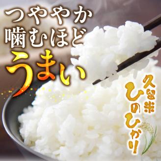 久留米ひのひかり　10Kg_久留米 ひのひかり 5kg × 2袋 計 10kg 久留米地区 限定 金のめし丸 県産米 農産物検査 上位等級 国産 米 お米 白米 精米 ひのひかり おいしい 優良米 つややか 光沢 粘り 甘み 食品 常温 九州 福岡県 久留米市 お取り寄せ お取り寄せグルメ 送料無料_Gr038