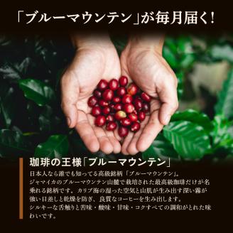 毎月届く　ブルーマウンテン300g・豆コース！3ヶ月コース(100g×3)_ブルーマウンテン No.1 ジャマイカ産 豆 100g × 3袋 計300g × 3回 3ヶ月コース 毎月届く 自家焙煎 コーヒー 珈琲の王様 高級 銘柄 シルキー 苦み 酸味 甘味 コク 焙煎 鮮度 粗挽き 細挽き 常温 お取り寄せ 福岡県 久留米市 送料無料_Ec103-B