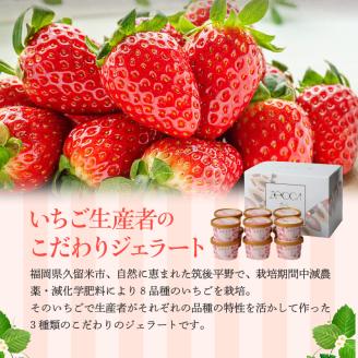 いちごジェラート詰め合わせ(12個入り)_いちご ジェラート 3種類 × 各 4個 100ml 計 12個 詰め合わせ プレミアム いちごミルク あまおう ヨーグルト ホワイトショコラ 紅ほっぺ 煌めく シャーベット かおりの 恋みのり さがほのか ブレンド 誕生日 お中元 ギフト用 おすすめ 久留米市 送料無料_Dw014