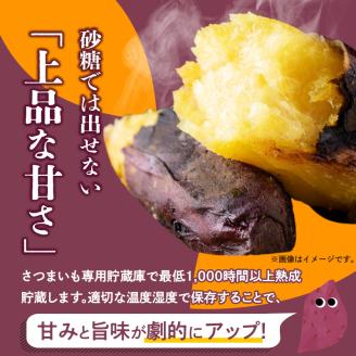 芋ガチャ訳あり 熟成さつまいも3kg_【訳あり】久留米市産 さつまいも 3kg 芋 ガチャ 栽培期間中農薬不使用 熟成 甘い 美味しい おやつ スイーツ バラエティ 紅はるか シルクスイート 国産 常温発送 国産 九州 福岡県 久留米市 お取り寄せ お取り寄せグルメ 送料無料_Gx052