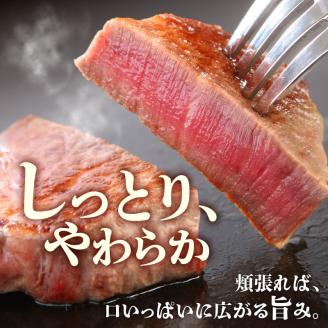 博多和牛 シャトーブリアン（ヒレ）ステーキ 120g×3枚_博多和牛 シャトーブリアン ヒレ ステーキ 120g × 3枚 計 360g 国産 和牛 国産牛 牛肉 希少部位 しっとり やわらか 赤身 あっさり ジューシー 脂身 少ない 塩 わさび アレンジ カツサンド 冷凍 お取り寄せ 福岡県 久留米市 送料無料_Ab005