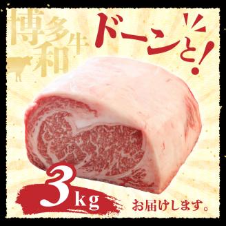 博多和牛 サーロインブロック3kg_博多和牛 サーロインブロック 3kg 和牛 牛肉 肉 旨み サーロイン やわらかい ジューシー ステーキ ステーキ丼 ローストビーフ 煮込み とろける 食感 霜降り 赤身 脂身 バランス 冷凍 九州産 お取り寄せ グルメ 福岡県 久留米市 送料無料_Ab007