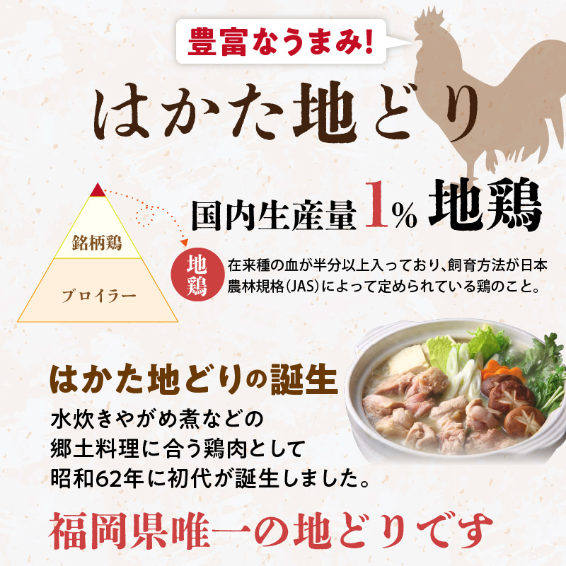 はかた地どり 手羽元カレーギフト_ はかた地どり 手羽元 カレー ギフト レトルト 210g × 5袋 地鶏 旨味 完熟 トマト ガラスープ 煮込む レンチン可 湯煎可能 電子レンジ可能 簡単調理 時短 備蓄 保存食 食品 加工食品 お取り寄せ 福岡県 久留米市 送料無料_Ax104