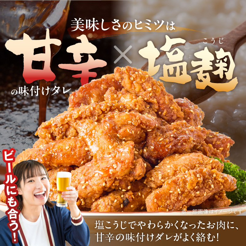 手羽中ハーフ唐揚げ　500g×2袋 _ 唐揚げ 手羽中 500g × 2袋 計 1000g 肉 鶏肉 手間なし 簡単 調理 レンジ調理 便利 おかず 惣菜 晩ごはん おつまみ 晩酌 加工品 食品 グルメ 揚げ物 フライ 冷凍 福岡県 久留米市 お取り寄せ 送料無料 _Ax164